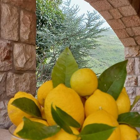 Villa Verde Cefalù Zewnętrze zdjęcie