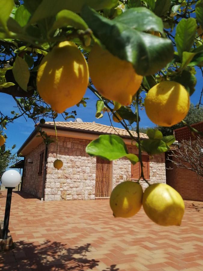 Villa Verde Cefalù Zewnętrze zdjęcie