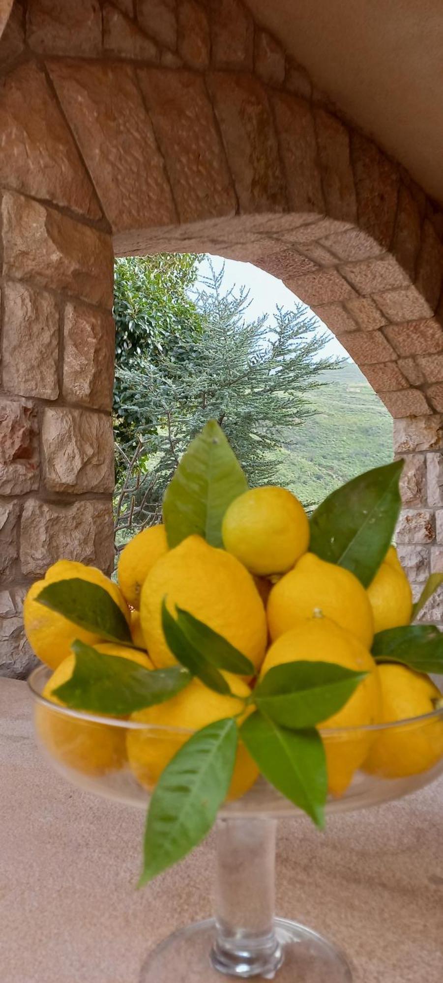 Villa Verde Cefalù Zewnętrze zdjęcie